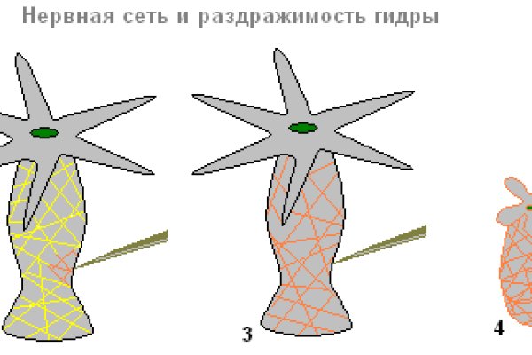 Полезные сайты тор